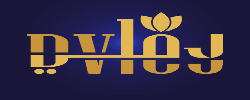 Dvley Coupons
